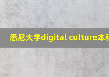 悉尼大学digital culture本科